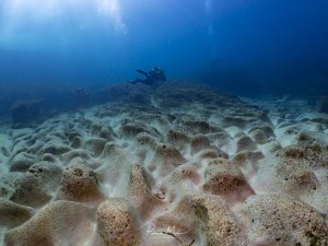 Impressively eroded rocky floor on Gozo, shaped over millennia by the current. A diver explores the scenery in the background.