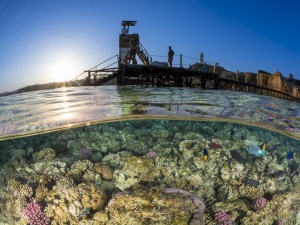 A half-and-half shot, taken near Sharm el-Sheikh. People on the pier watch the sunset while colorful reef fish swim over the coral below the surface.