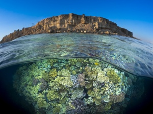 A split-screen shot showing a coral block below the surface, with a cliff above it at Ras Kati near Sharm el-Sheikh. The healthy reef, with its variety of hard corals, stands in striking contrast to the barren rocks above the water.